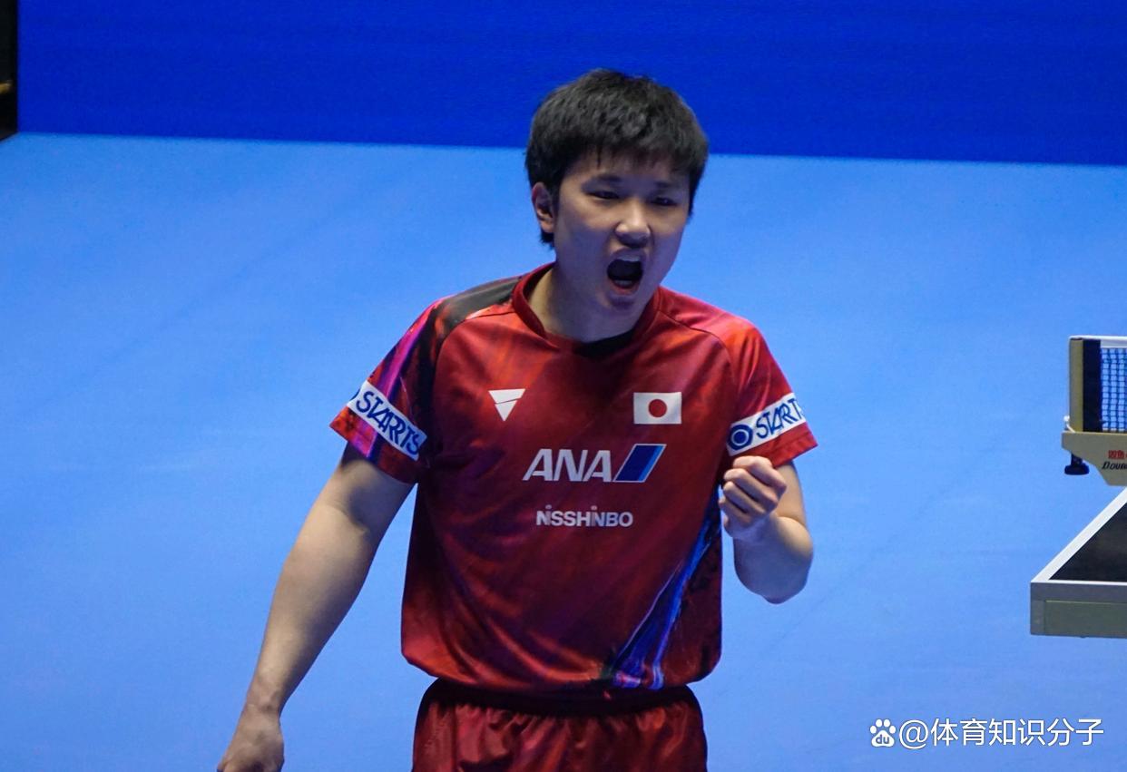 波兰队逆转德国队，张本智和状态火热
