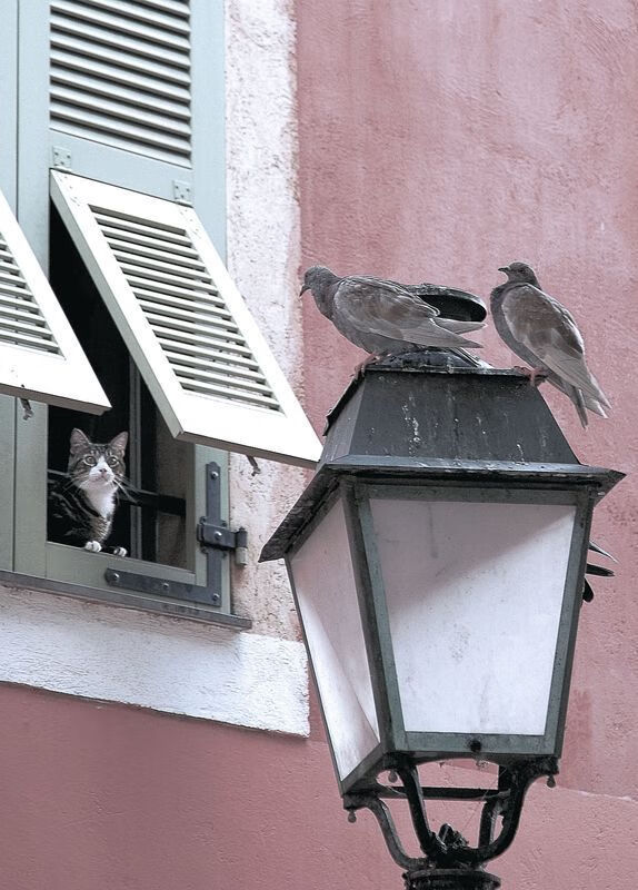 绝唱与新章,阿圭罗压哨绝杀,定义里昂唯一之夜