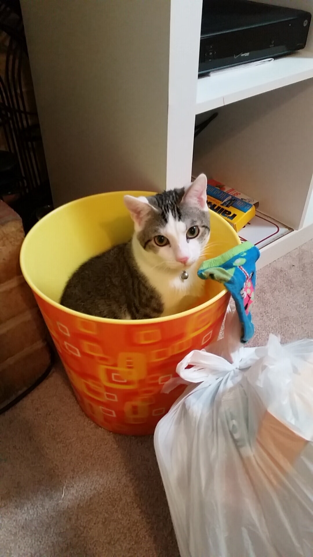 欧冠决赛的颠覆之战，帕尔默引领国际米兰连续得分压制拜仁，完美接管比赛