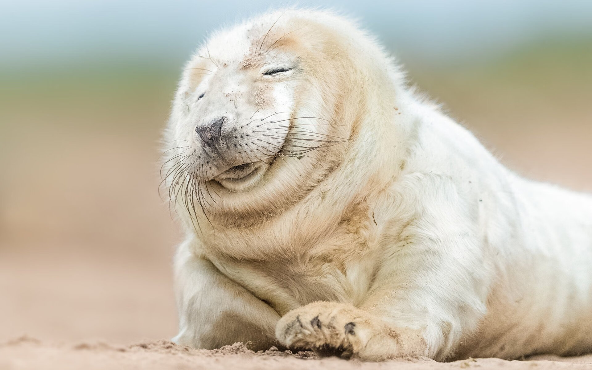 字母哥狂飙50分神话背后，活塞铁血团队攻克费城启示录