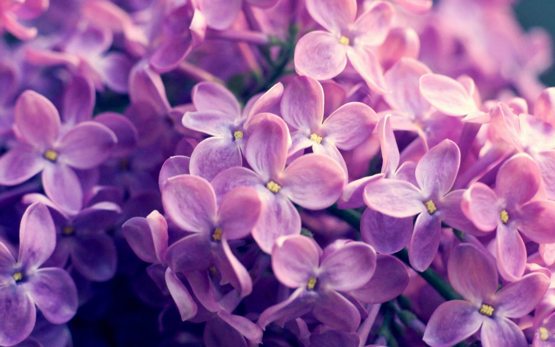 看到你给出的英超争冠之夜，利拉德比赛走势一手掌控这个组合，我的思维瞬间被点燃—这仿佛是两个平行宇宙的掌控者，在同一天夜里，用截然不同的方式定义着决定性的力量