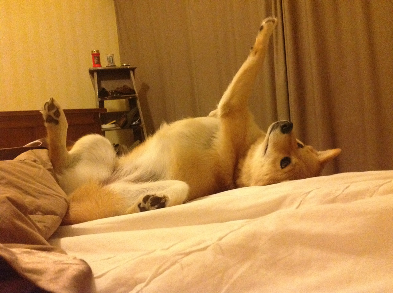 南半球季风席卷梦剧场,当弗拉霍维奇在澳大利亚节奏中让红色巨轮搁浅