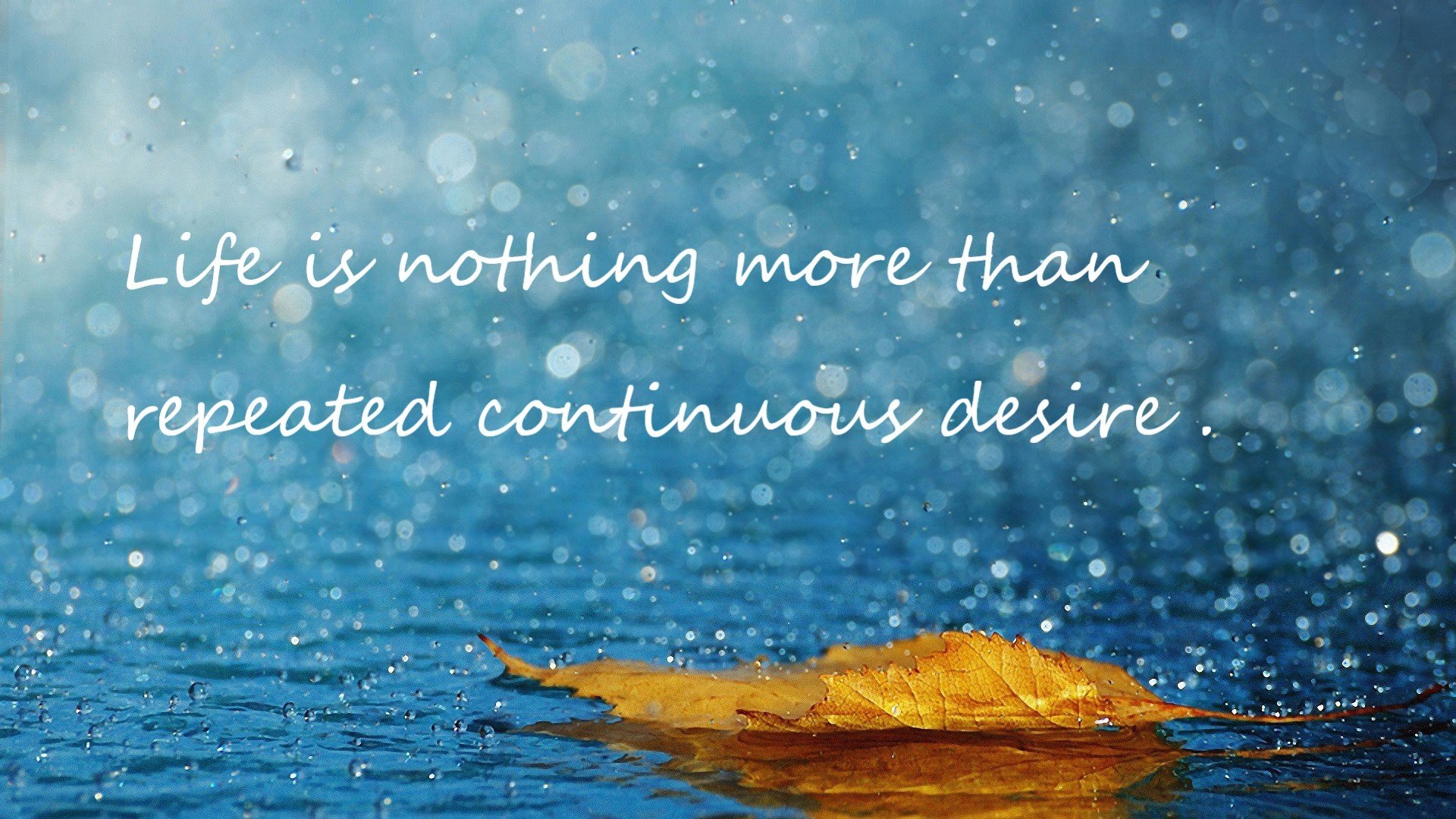 弯道中的低位单打,当西亚卡姆的篮球智慧主宰F1终极之夜