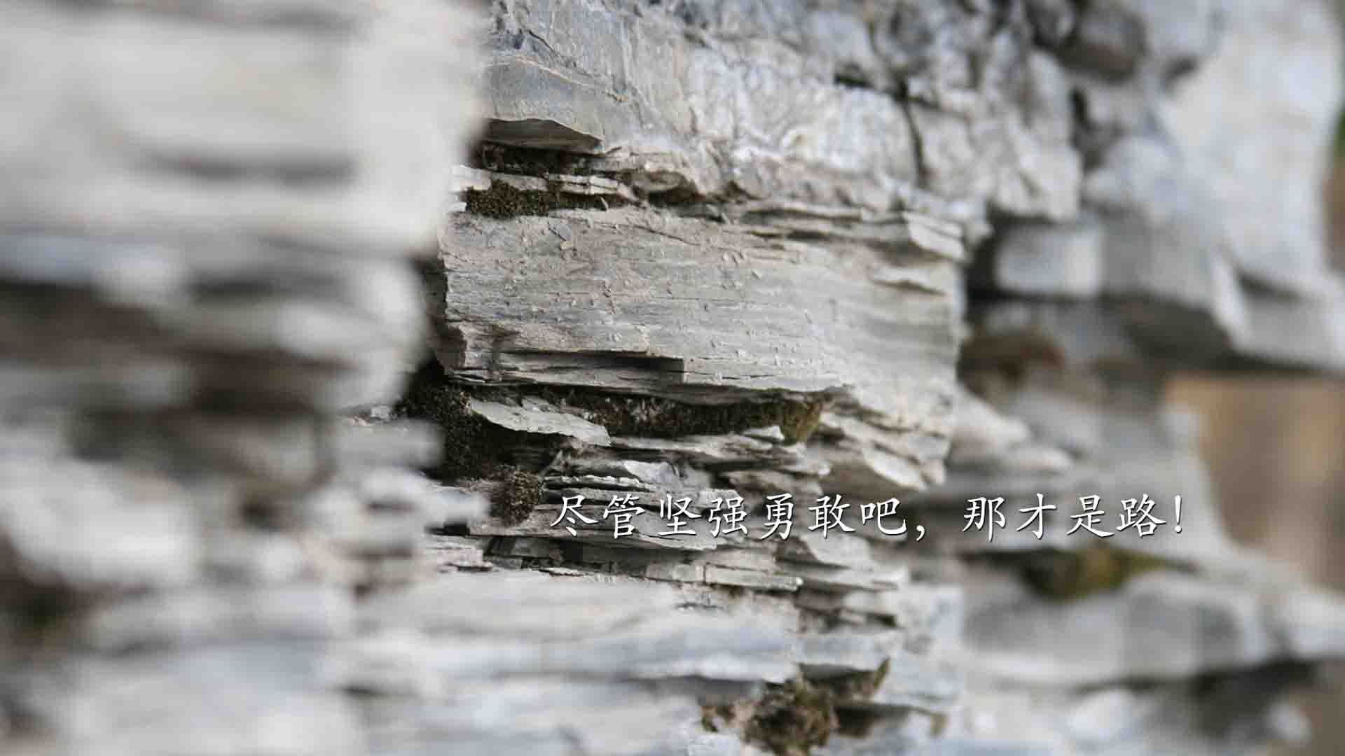 绿茵启示录,C罗的满分与西班牙的团队艺术