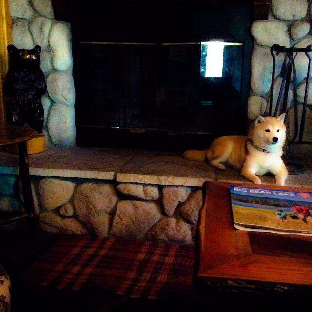 双城记,当伯纳乌的夜空划过休斯顿的抛物线