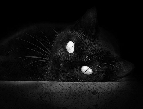 2026世界杯之夜，窒息时刻，贝林厄姆用一记点球定义新时代