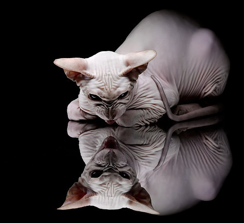 黄潜艇破浪前行,萨拉赫关键一役助比利亚雷亚尔强势攻克比利时